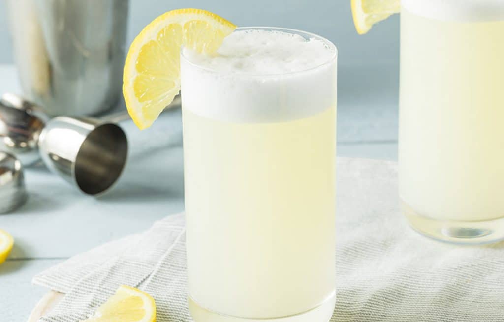 Gin Fizz, recette Gin Fizz Cocktail.fr