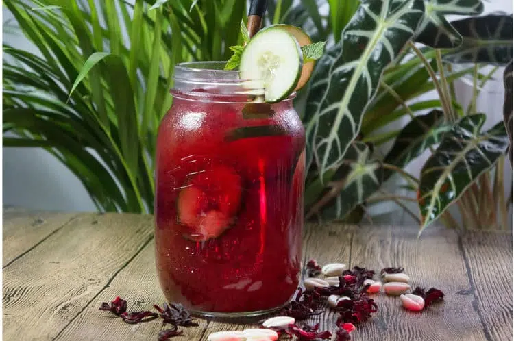 Cocktail Secousse Boost