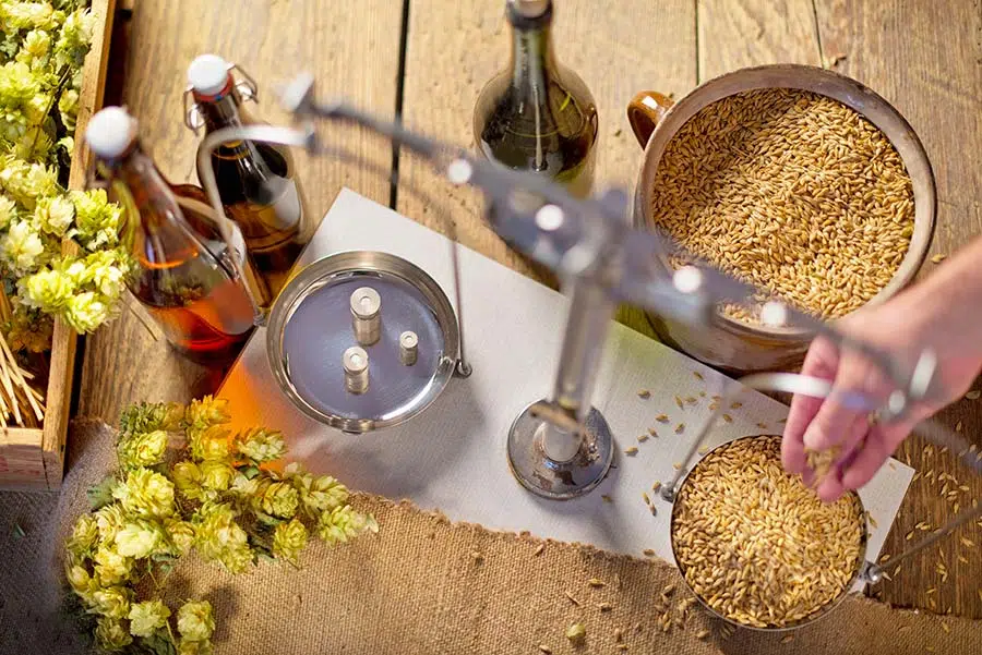 Les ingrédients nécessaires à la fabrication de la bière