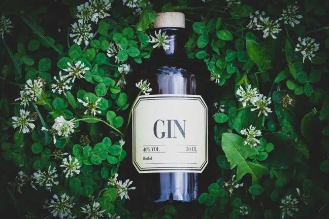 Choisir son Gin