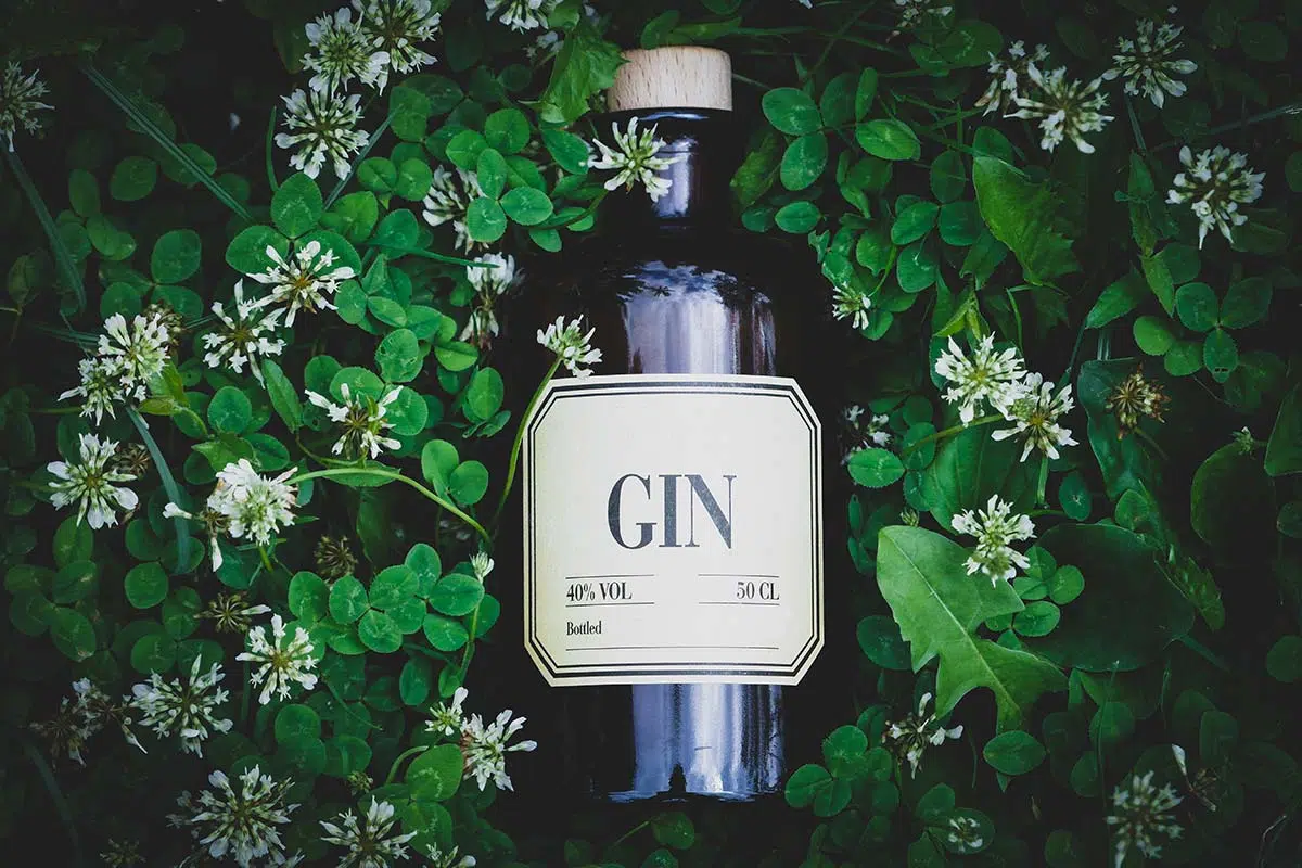 Choisir son Gin