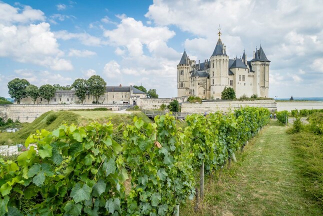 vin de la loire